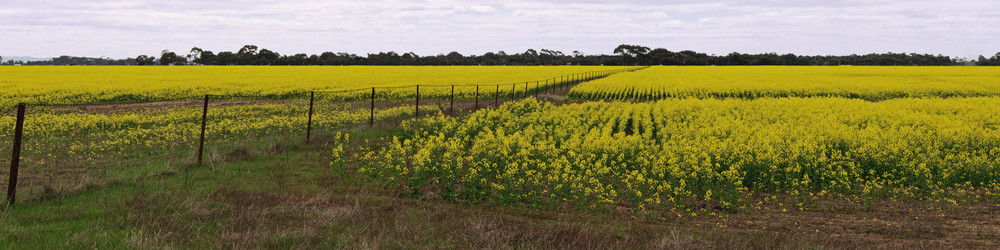 Similar image 1508283