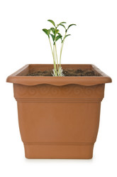 Similar image 1508365