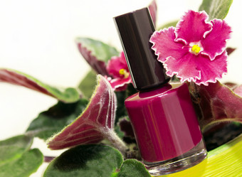 Similar image 1508372