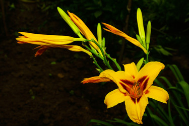 Similar image 1508373