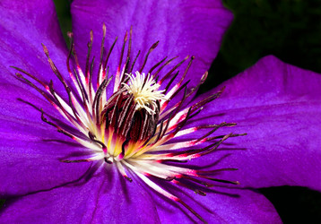 Similar image 1508374