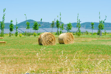 Similar image 1508388