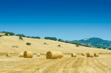 Similar image 1508389