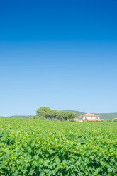 Similar image 1508391