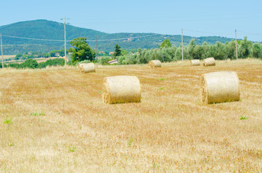 Similar image 1508402