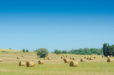 Similar image 1508414