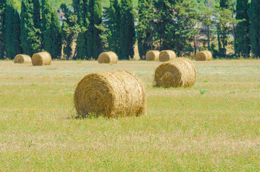 Similar image 1508415