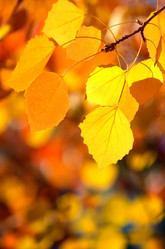 Similar image 1508437