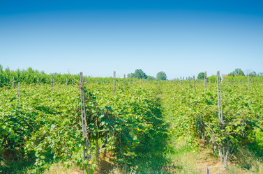 Similar image 1508507