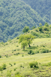 Similar image 1508550