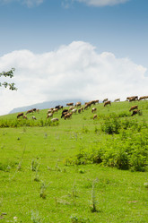 Similar image 1508553