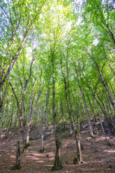 Similar image 1508583