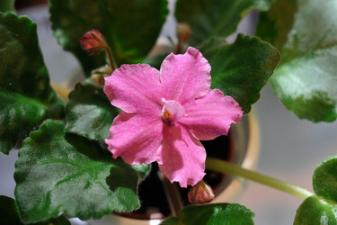 Similar image 1508609