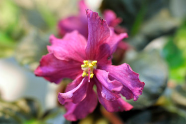 Similar image 1508611