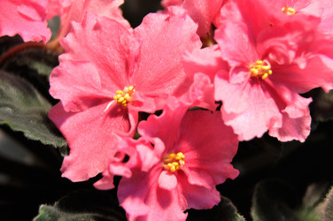 Similar image 1508622