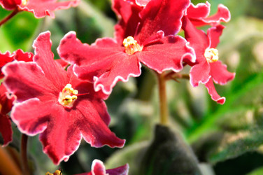 Similar image 1508642