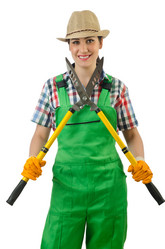 Similar image 1508864