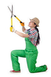 Similar image 1508867