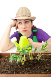 Similar image 1508880