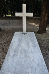 Similar image 1509006