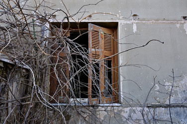 Similar image 1509036