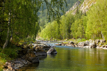 Similar image 1509058