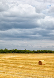 Similar image 1509084