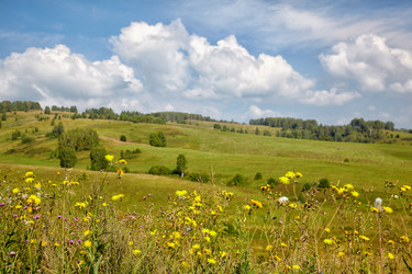 Similar image 1509087