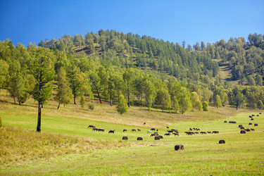 Similar image 1509093