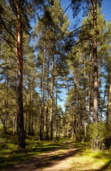 Similar image 1509097