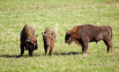 Similar image 1509102