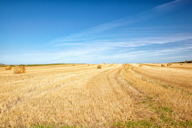 Similar image 1509120