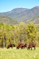 Similar image 1509123