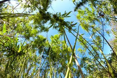 Similar image 1509142