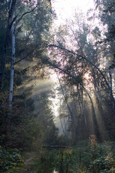 Similar image 1509499