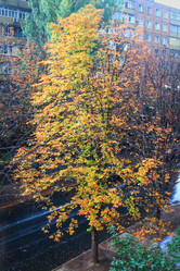 Similar image 1509544