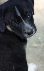 Similar image 1509548