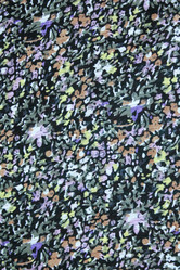 Similar image 1509553