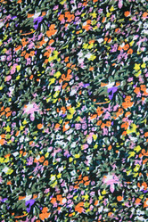 Similar image 1509554