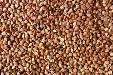 Similar image 1509555