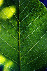 Similar image 1509560