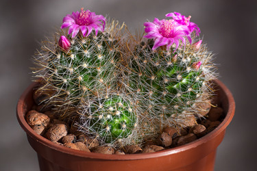 Similar image 1509568