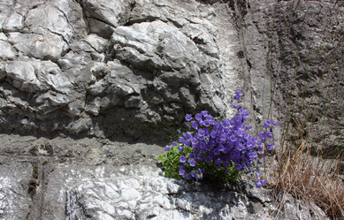 Similar image 1509572