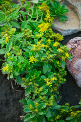 Similar image 1509589