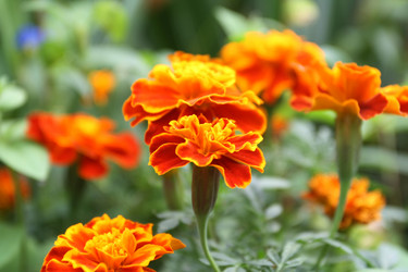 Similar image 1509594