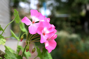 Similar image 1509595