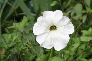 Similar image 1509597