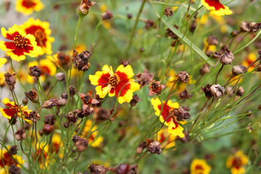 Similar image 1509600