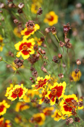 Similar image 1509601