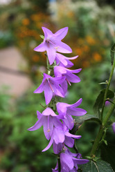 Similar image 1509602